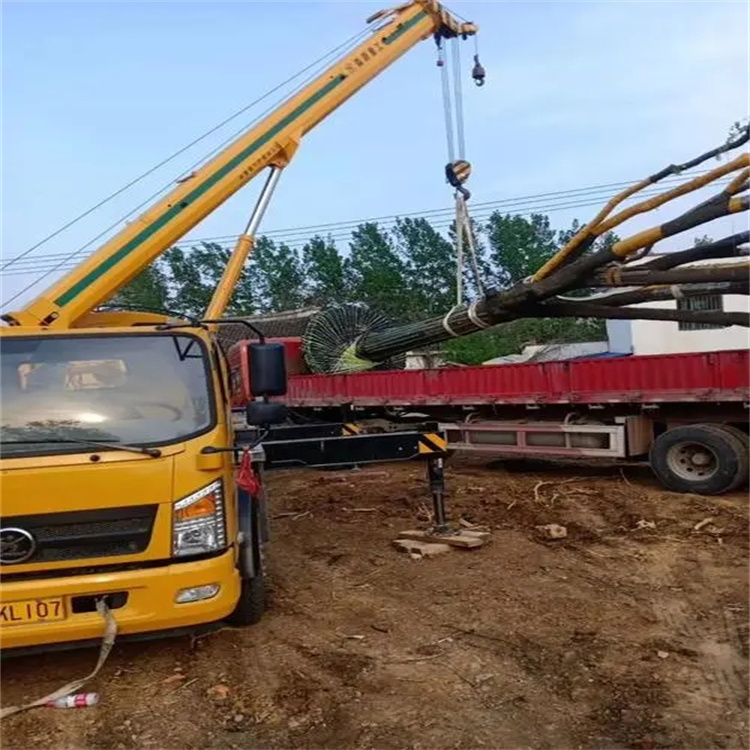 排湖风景区100吨吊车租赁费用怎么算？3大关键因素+省钱技巧全解析